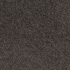 Quest Carpet Pluto Mole Grey