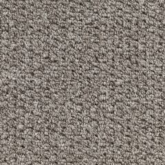 Quest Carpet Flashtone Van